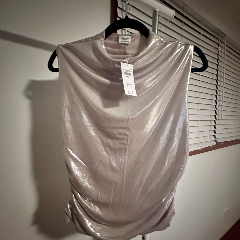 The A&F Paloma Liquid Shine Top